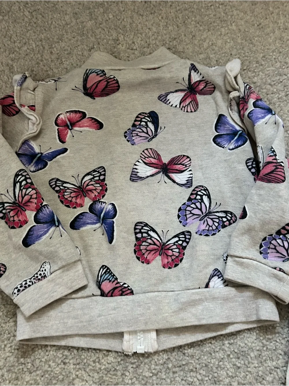 OshKosh B'gosh and Carter’s Cream Butterfly Jogger Set  2T